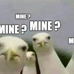 Seagulls_Mine Meme Generator - Imgflip