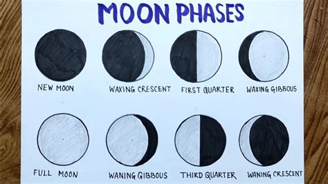 Moon Phases drawing easily/How to draw phases of the moon - YouTube