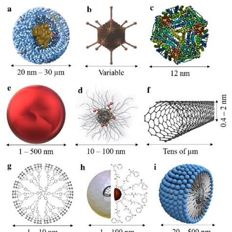 (PDF) Nanomedicine Review: Clinical Developments in Liposomal Applications