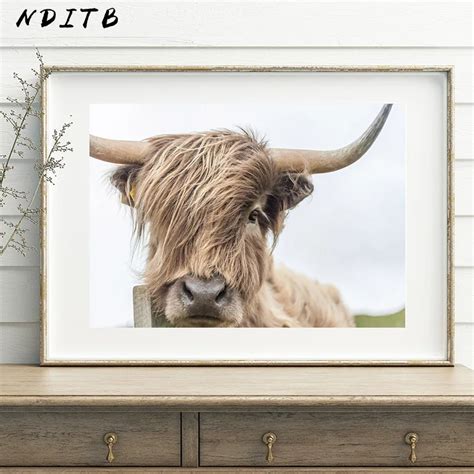 Nditb Highland Cow Wall Art Canvas Painting Animal Posters And Prints Nordic Decoration Pictures ...