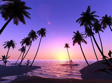 Palm Tree Beach Wallpaper