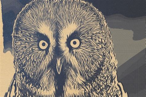 Retro Owl Art Poster Free Stock Photo - Public Domain Pictures