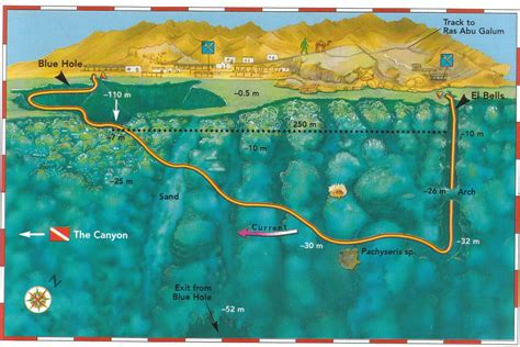 Bells to Bluehole. Location: 12km North of Dahab and 1.5km North of Canyon. Blue Hole Depth: 110 ...