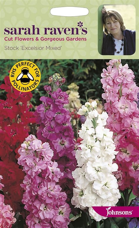 Johnsons - Sarah Raven's Cut Flowers - Stock Excelsior Mixed - 250 Seeds : Amazon.co.uk: Garden