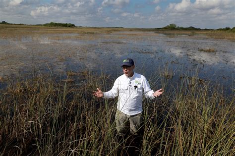 Florida Everglades’ restoration moves closer to reality