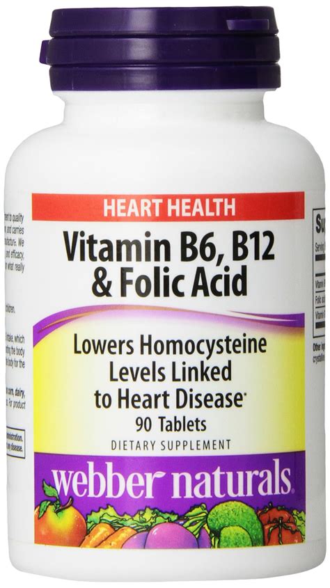 Webber Naturals Vitamin B6, B12 and Folic Acid Tablets, 90 Count- Buy ...