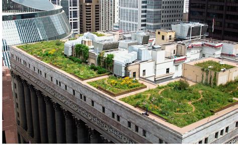 Rooftop Garden Chicago S Green Rooftop Experiment | Roof garden design, Rooftop garden, Small ...