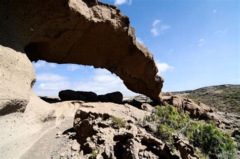 Premium Photo | Dry landscape