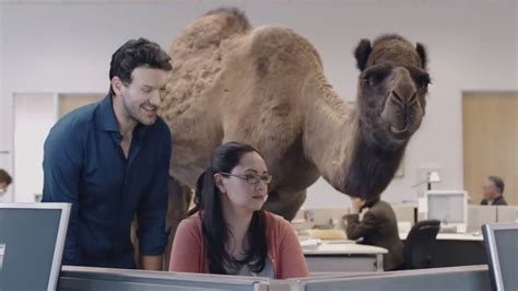 Geico Hump Day featuring Tony Romo - GEICO Insurance Ad Commercial on TV 2019 Hump Day Camel ...