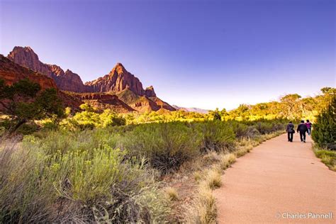 These six wheelchair-accessible national park trails allow wheelchair ...