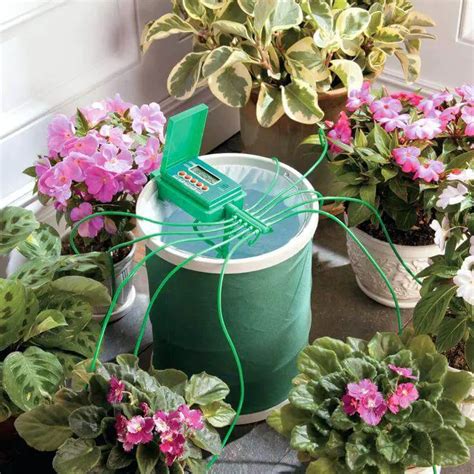 The Best Indoor Plant Watering System - Succulents Network