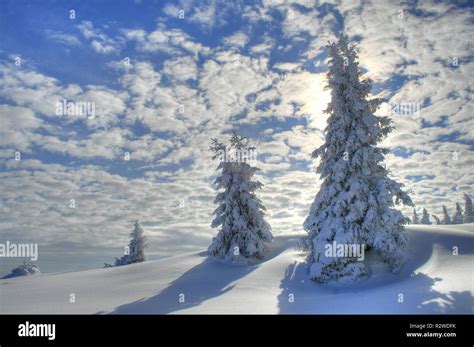 winter in the alps Stock Photo - Alamy