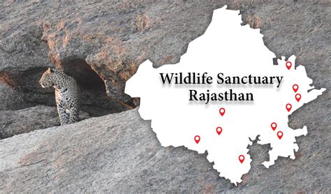 Top 10 Wildlife Sanctuaries in Rajasthan - Thour Nature Resort