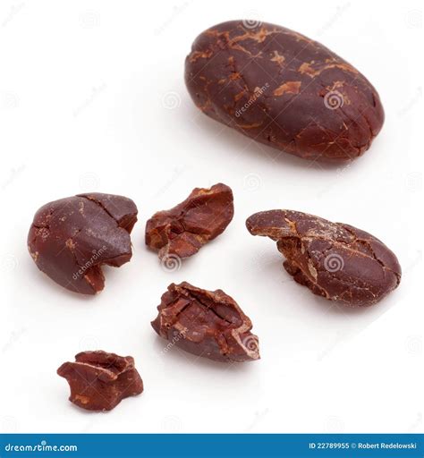 Cacao beans. stock image. Image of crop, surface, color - 22789955