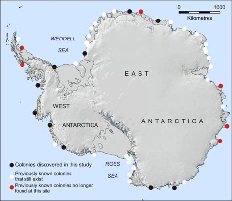 Penguinology: How scientists can now find penguins all around Antarctica