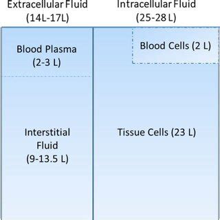 1: Distribution of water in the human body showing the approximate ...