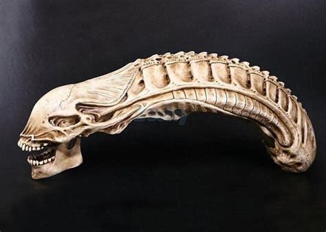 Lifelike Xenomorph Alien Movie Model Skull Resin Heteromorphosis Models 50cm #Unbranded offered ...