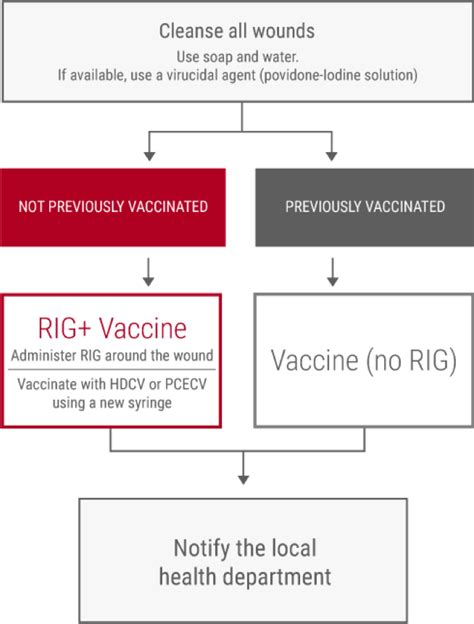 Rabies Postexposure Prophylaxis Guidelines | Rabies Watch