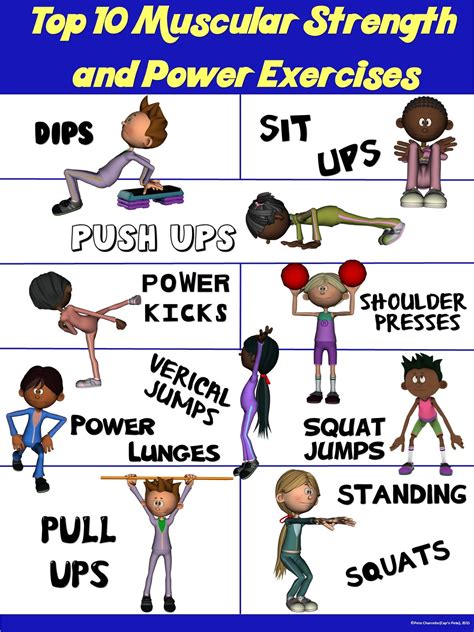 Muscular Strength And Endurance Upper Body Exercises - Exercise Poster