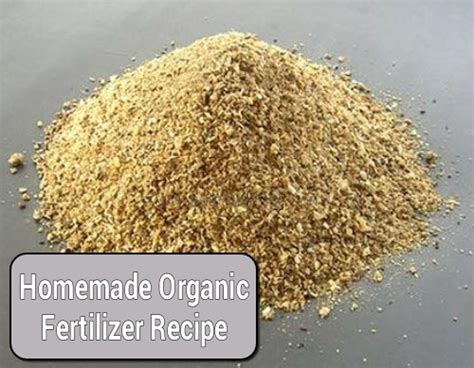 Homemade Organic Fertilizer Recipe