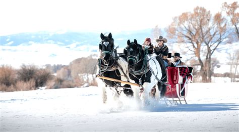 Horse Drawn Sleigh Rides - Brush Creek Ranch