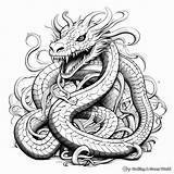 Snake Dragon Coloring Pages  Free & Printable sketch template