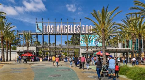 SOCAL MUSEUMS | Los Angeles Zoo