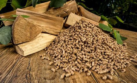 Biomass Pellet Production Potential in South America