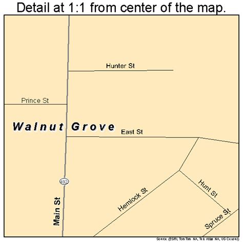 Walnut Grove Mississippi Street Map 2877520