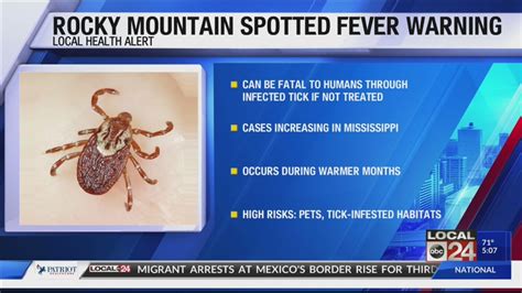 How To Treat Rocky Mountain Spotted Fever In Dogs