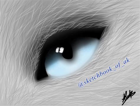 An arctic fox eye, done on ibisPaint X : r/drawing