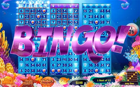 Bingo Equipment - Bingo Supply Warehouse