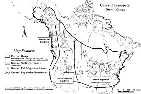 Current range, nesting grounds, and migration routes of the trumpeter... | Download Scientific ...