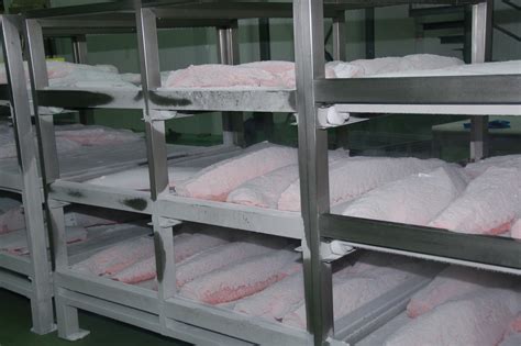 Thaw frozen fish faster and retain quality - Eurofish