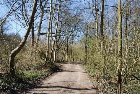 High Weald Landscape Trail near the edge... © N Chadwick :: Geograph Britain and Ireland