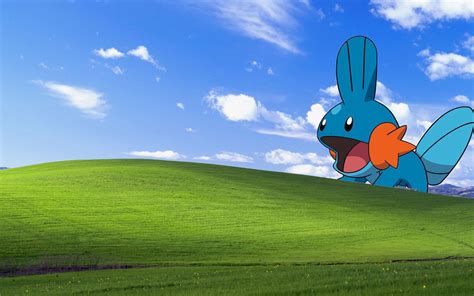 Windows Xp Background Meme