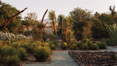 Mexican garden offers sanctuary in the city