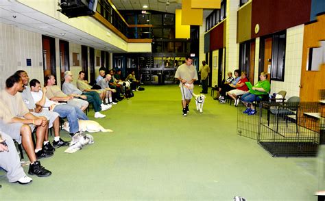 PRISON DOG PROGRAMS ~ BRIDGES and PATHWAYS of COURAGE: OSHKOSH CORRECTIONAL INSTITUTION ...