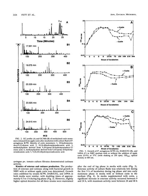 Screening of nonfilamentous bacteria for production of cutin-degrading enzymes. - Abstract ...