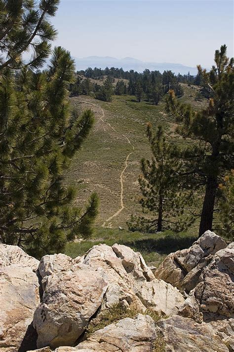 Mountain Biking on Mt Pinos in the Los Padres National Forest