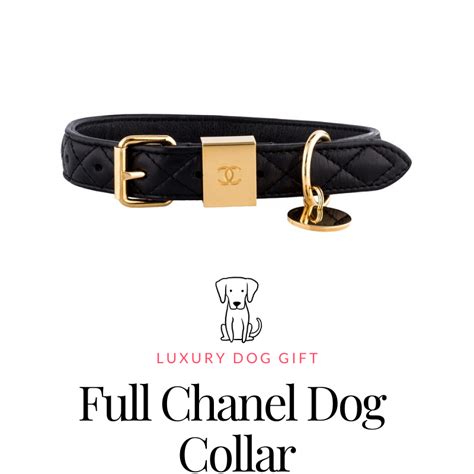 Full Chanel Dog Collar Review: 2020 - Luxury Dog Gift