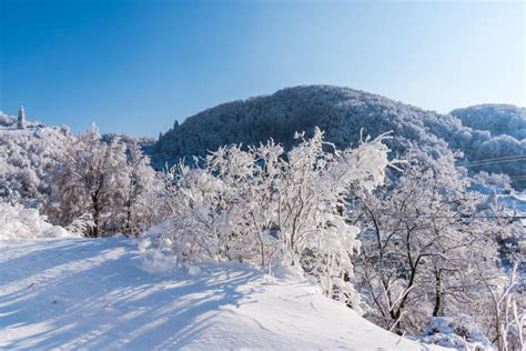 Winter Landscape in the Cold Winter Romania Stock Image - Image of ...