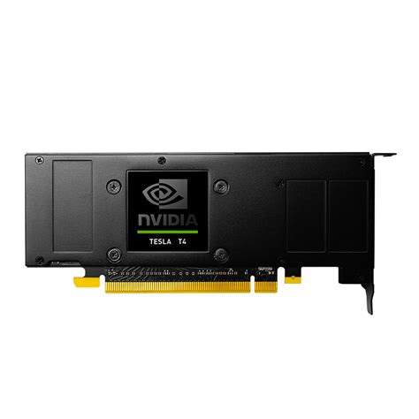 Discover NVIDIA T4 | Data Center GPUs | pny.com