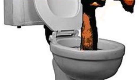 toilet-plunger | Plumbing Emergency Memphis