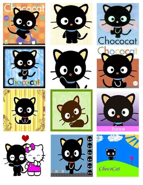 CHOCOCAT Magnets, 12 Glossy - Etsy