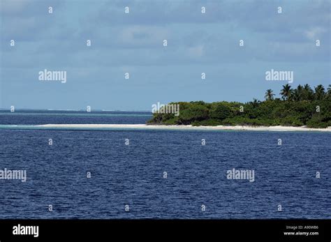 Maldives an island white sand beach Stock Photo - Alamy