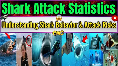 Understanding Shark Behavior & Attack Risks || Shark Attack Statistics, Truth About Shark ...