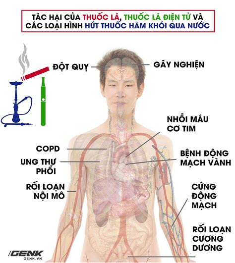 Bất kể hình thức: Hút thuốc lá điếu, thuốc lá điện tử hay shisha đều ...