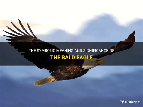 The Symbolic Meaning And Significance Of The Bald Eagle | ShunSpirit