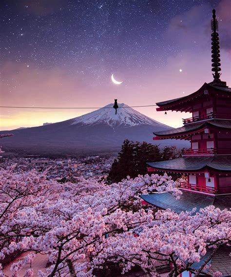 Cherry Blossom and Chureito Pagoda facing Mt. Fuji in Arakurayama ...